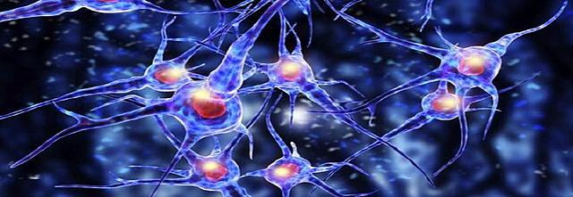 Descubren las neuronas que controlan los recuerdos traumáticos