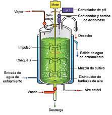 Diseño y ampliación de fermentadores con aireación a gran escala