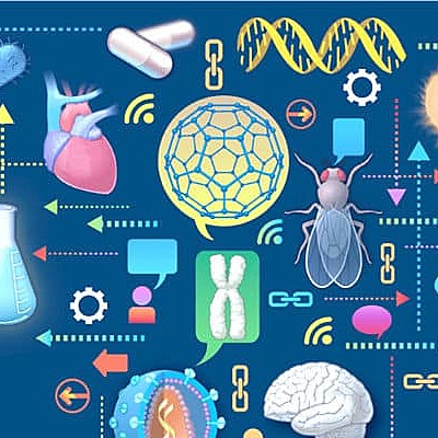 Timeline: PROYECTO TRANVERSAL                                       (Evolución de la Física en la aportaciones científicas)