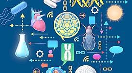 Timeline: PROYECTO TRANVERSAL                                       (Evolución de la Física en la aportaciones científicas)