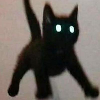 Timeline: Mi vida Pedorra