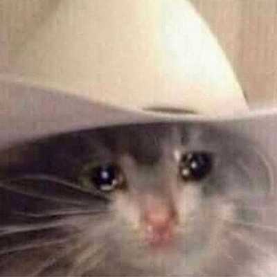 Timeline: Mi entretenimiento