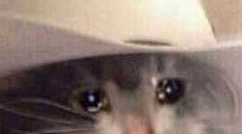 Timeline: Mi entretenimiento