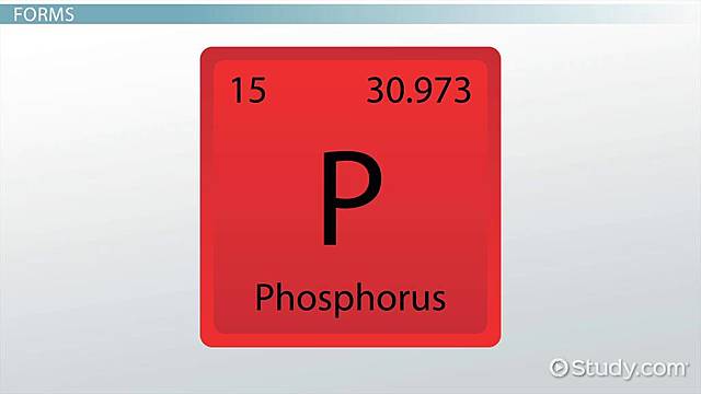 Phosphorus