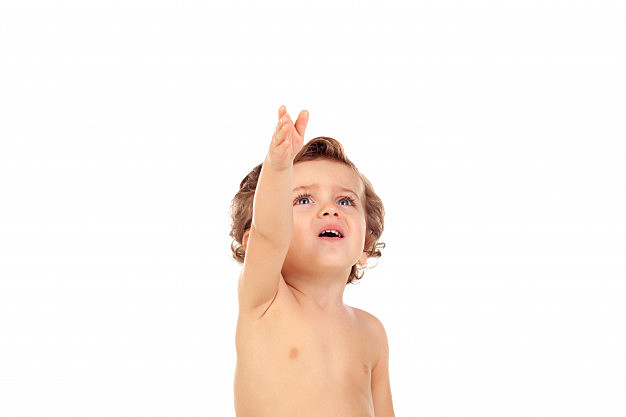 11vo. MES DESARROLLO COGNOSCITIVO