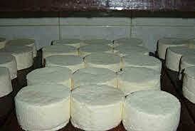 Altos niveles de distribución de quesos frescos