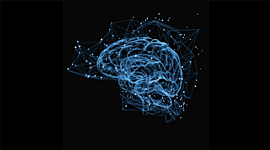 Timeline: Sistemas Teóricos