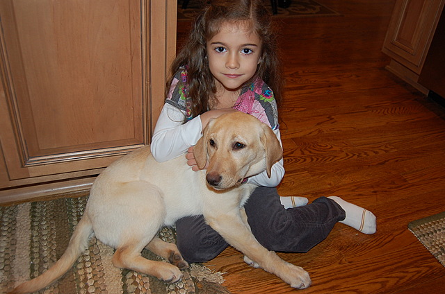 Mi familia obtuvió un perro, Izzy.