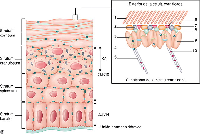 Semana 19 y 20