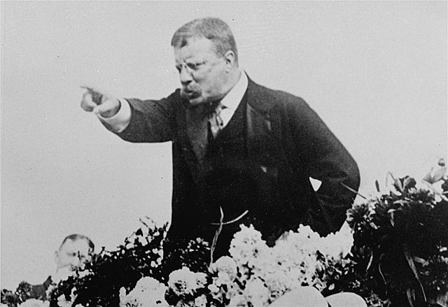Theodore Roosevelt Becomes President