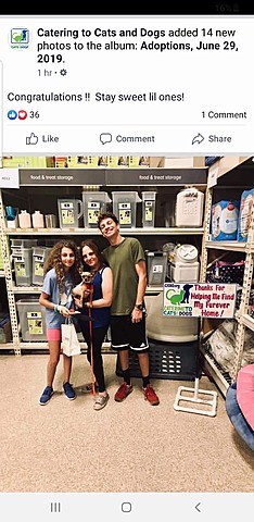 recibi' mi perro, dolce