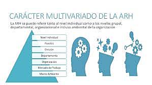 Administración de recursos humanos (ARH)