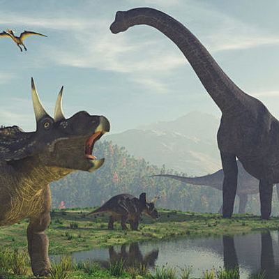 Timeline: GELOGICAL TIME