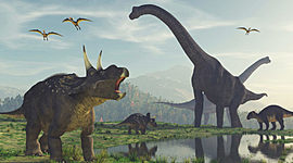 Timeline: GELOGICAL TIME