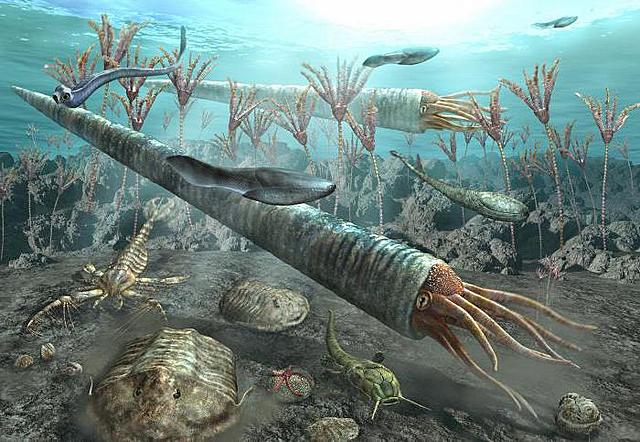 Ordovician