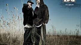 Timeline: Nach Scratch