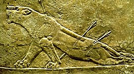 Timeline: Arte Oriente Próximo y Egipto