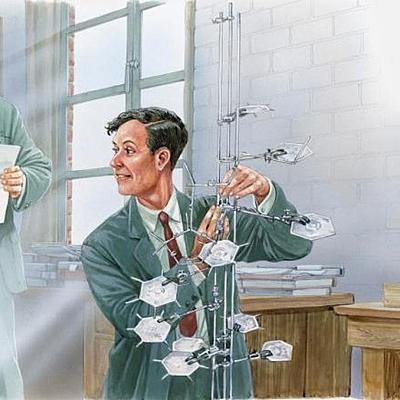 Timeline: Modelo Watson y Crick