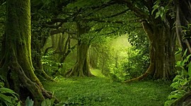 Timeline: Экологический календарь