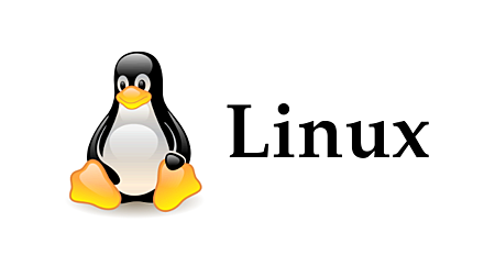 1991: Lanzamiento de Linux