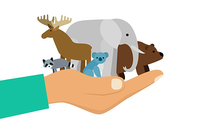 Международный день защиты животных