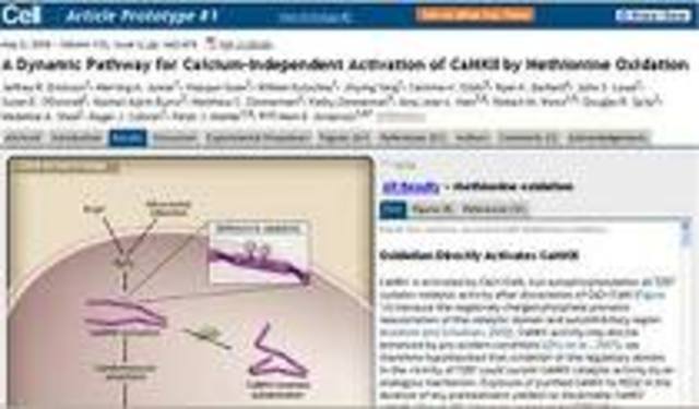 Prototipo Multimedia