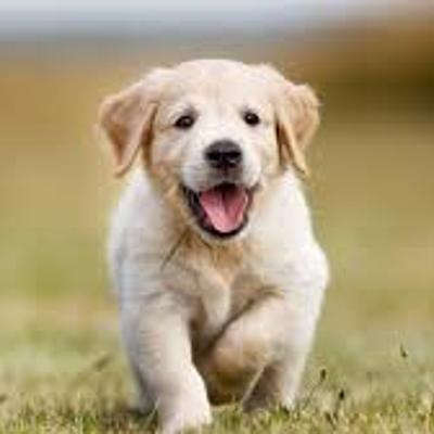 Timeline: LINEA DE TIEMPO