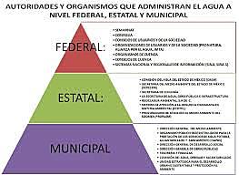 Nivel municipal