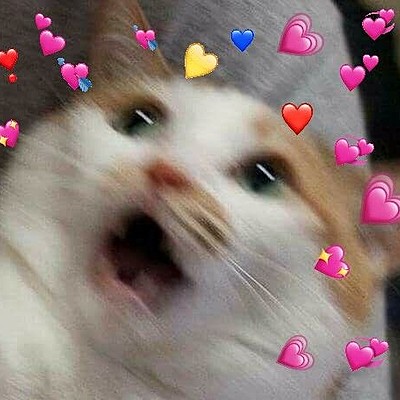 Timeline: amante rechoncho