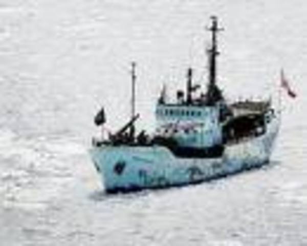 Greenpeace turns it's attention to Commercial Whaling.