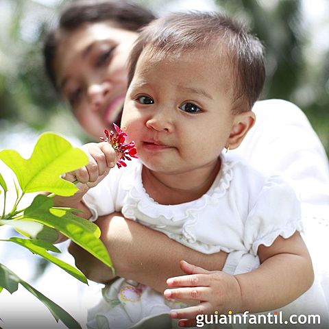 Reconocimiento de objetos con olor