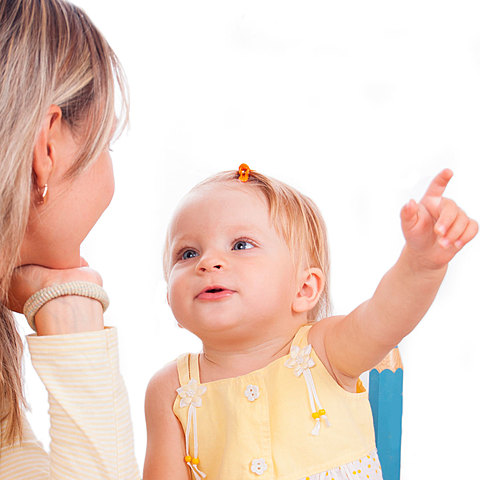 Desarrollo del Lenguaje y Visual