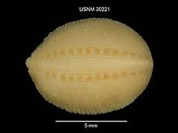 Hecho significativo de su infancia