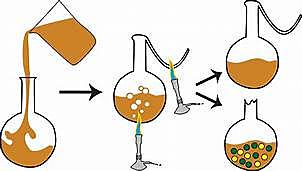 Teoría de la generación espontanea