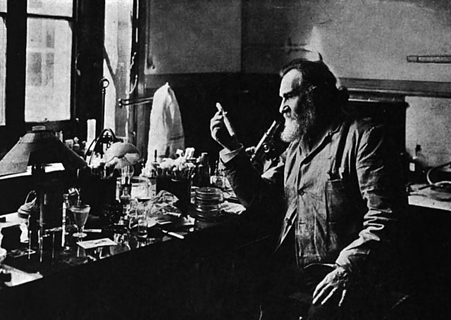 Aportaciones de Elias Metchnikoff