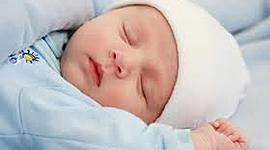 Timeline: Lineal de tiempo