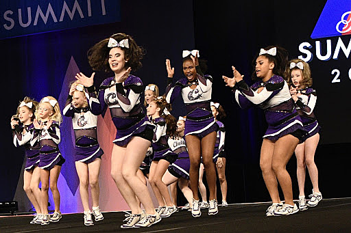 Mi equipo y yo íbamos a la summit en Florida