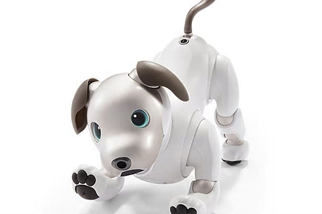Aibo