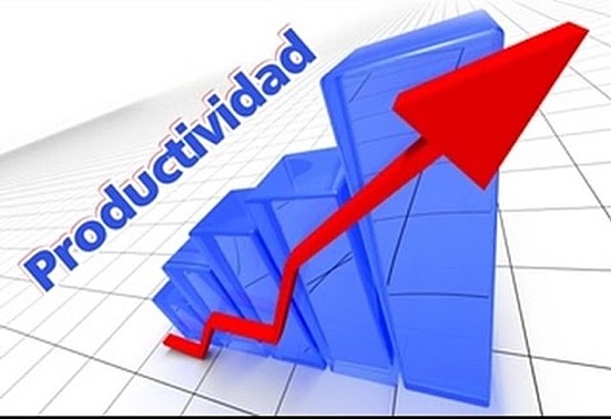 ORGANIZACIÓN CIENTIFICA