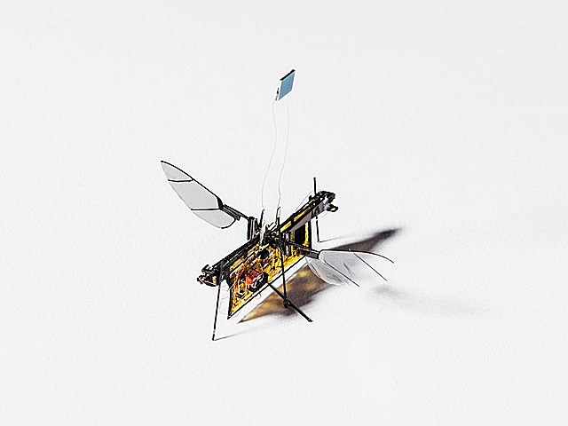 RoboFly