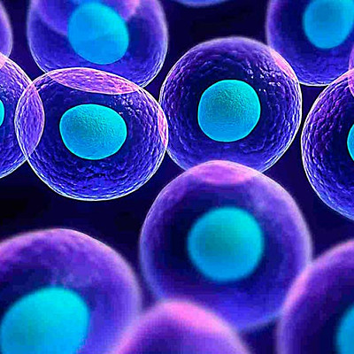 Timeline: ¿ Cómo se originó la primera célula?