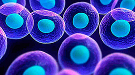 Timeline: ¿ Cómo se originó la primera célula?