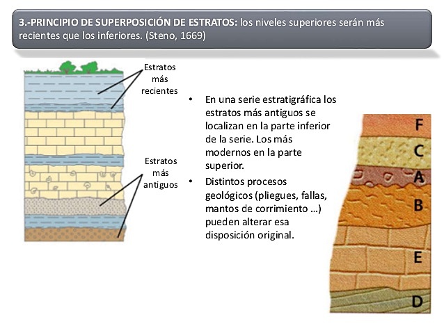 Steno: ley de superposición de estratos o Ley de Steno.