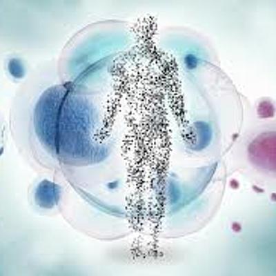 Timeline: Logros y fracasos de mi vida