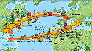 Columbian Exchange Begins