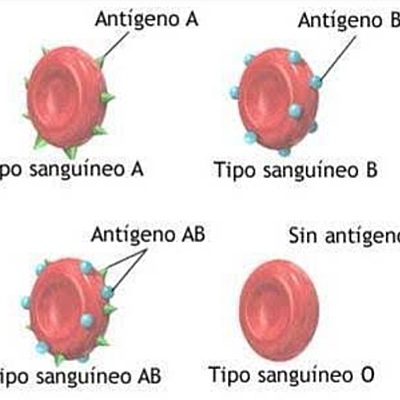 Timeline: trabajo de biología, equipo 2