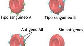 Timeline: trabajo de biología, equipo 2