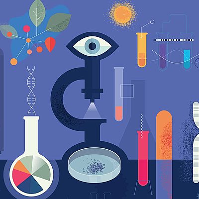 Timeline: Línea del tiempo sobre el desarrollo de biorreactores.