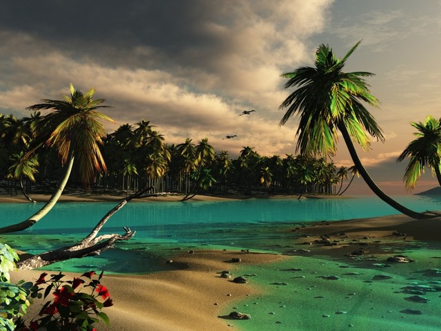 la historia de mi vida