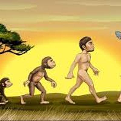 Timeline: Evolución del ser humano (teoría evolucionista)